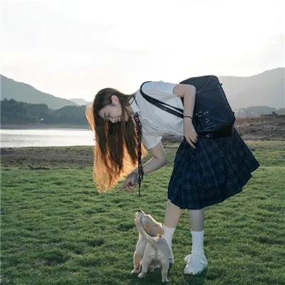 狼嚎再起